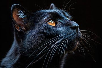schwarze Katze von PixelPrestige