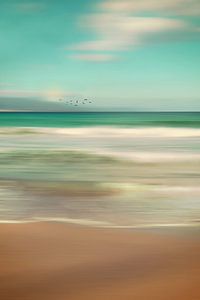OCEAN DREAM IV-A