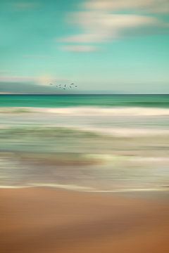 OCEAN DREAM IV-A van Pia Schneider