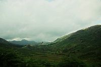 Groen landschap
