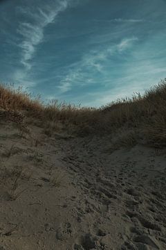 Strandoversteek in Denemarken aan zee van Martin Köbsch