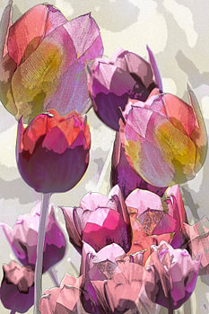 Tulpen-Display. In grau, lila, rosa und rot.