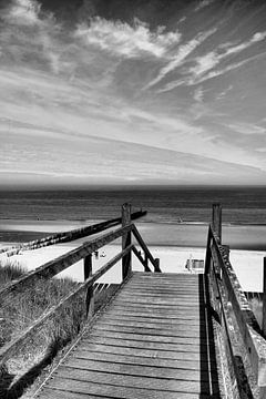 To the beach we go! van Sophia Roelse