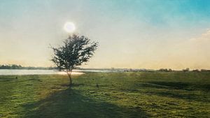 Sonne über den Elster-Auenniederungen