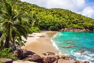 Dream Beach Anse Major -  Mahé - Seychelles by Max Steinwald thumbnail