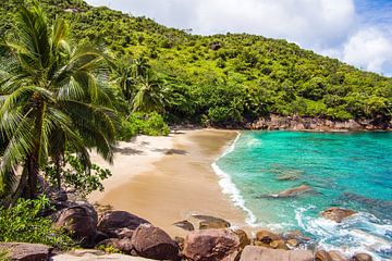Dream Beach Anse Major -  Mahé - Seychelles by Max Steinwald