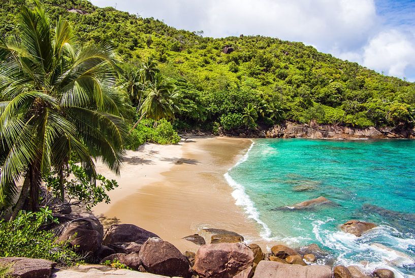 Dream Beach Anse Major -  Mahé - Seychelles by Max Steinwald