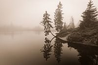 Foggy mood