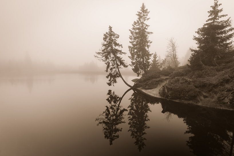 Foggy mood by Torsten Krause