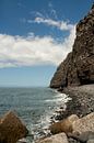 coast of la palma von Rick Van der bijl Miniaturansicht