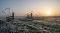 Beautiful winter morning