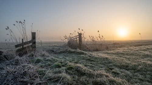 Belle matinée d'hiver