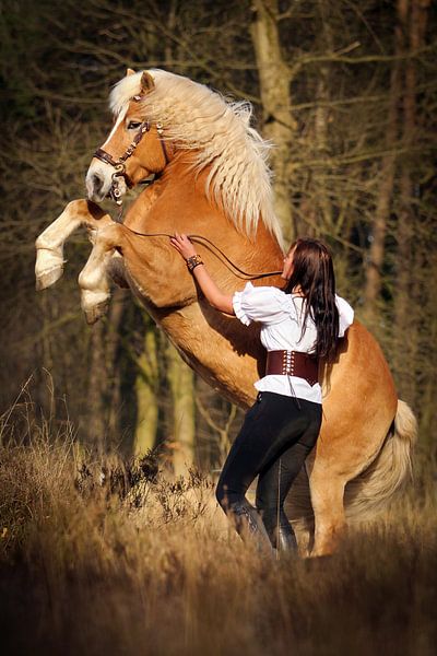 Eva Reomaat and Shilas - Showteam Nalanta by Nikki de Kerf