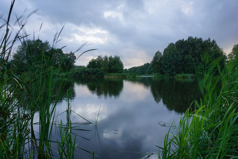 lettelbert by YH photoarts