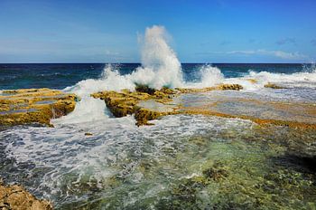 Shaping the East coast of Bonaire