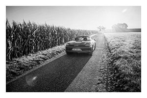 Porsche Boxster GTS Typ 981