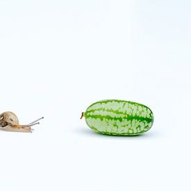 Slow food van John Goossens Photography