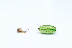 Slow food