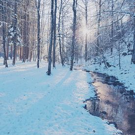 Sunny Winter Morning von Iris Lok