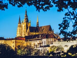 Prague Castle / St. Vitus Cathedral van Alexander Voss
