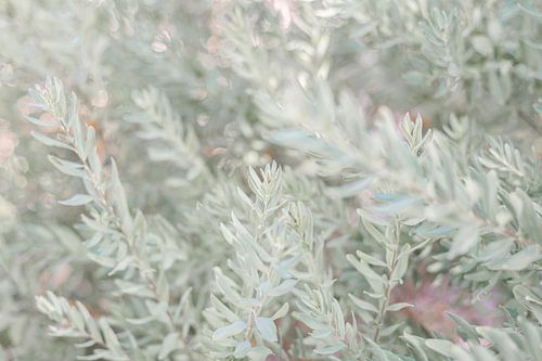 Ontspan met de groene omgeving