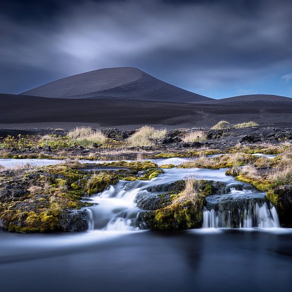 An Oasis of Dreams by Robert Bolton