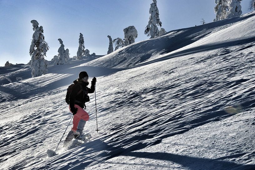 Lapland by Lars Veerhoff