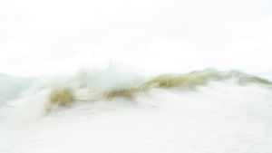 Les dunes d'Ameland - pour les vrais minimalistes - 1