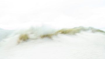 De duinen van Ameland - voor de echte minimalisten onder ons - 1 van Danny Budts