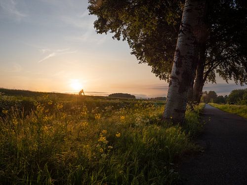 Lone cyclist