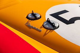 Détail du capot coloré de ce Pegaso Z-102.