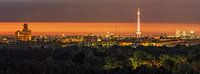 Berlin Skyline Sonnenaufgang von Frank Herrmann Miniaturansicht