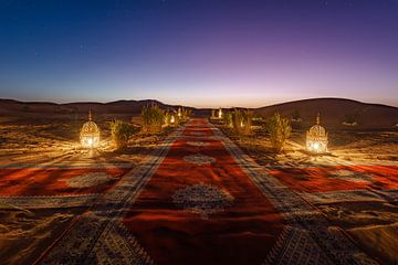 One thousand and one nights by Niek Wittenberg