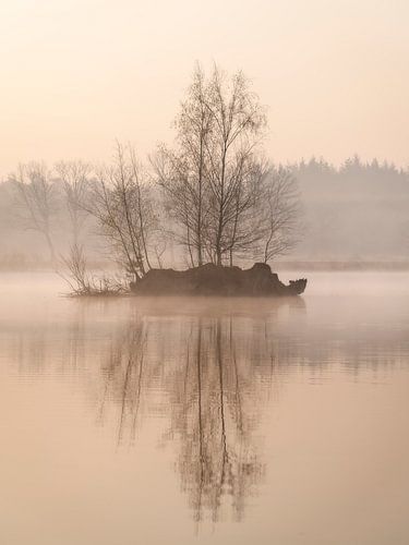 Une belle île avec des arbres dans une forêt aux Pays-Bas sur Jos Pannekoek