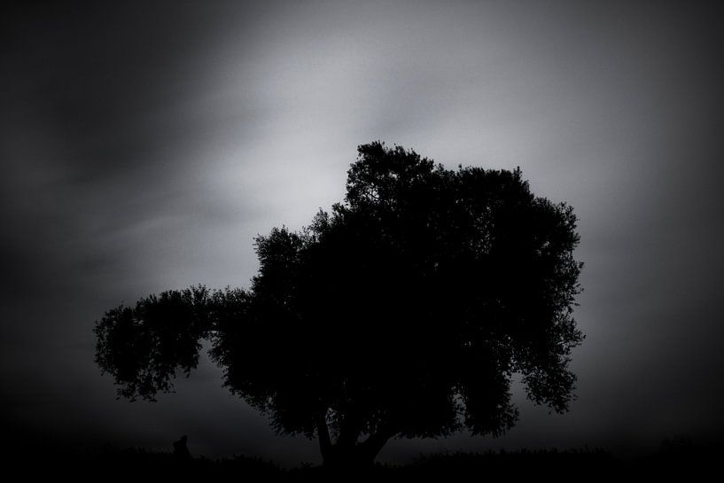 Silhouet van een boom van Martijn van den Enk