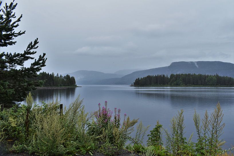 Die norwegischen Fjorde von Naomi Elshoff