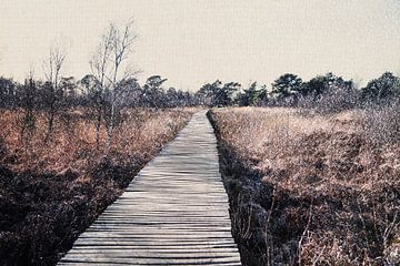 Natuurgebied Nationaal Park De Groote Peel van Imaginative