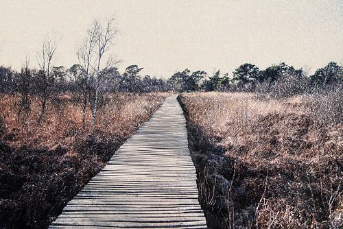 National Park De Groote Peel nature reserve