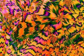 Co-Codamol von André Wieringa