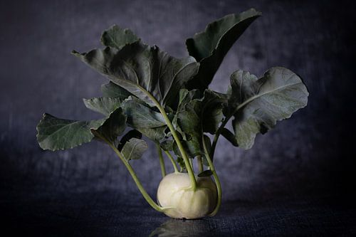 Fresh kohlrabi against a dark background