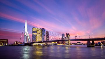 Schoonheid boven Rotterdam