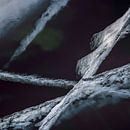 Details Baikalmeer by Peter Poppe thumbnail