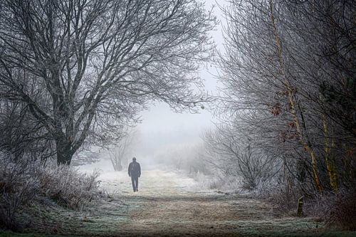 Je wandelt nooit alleen