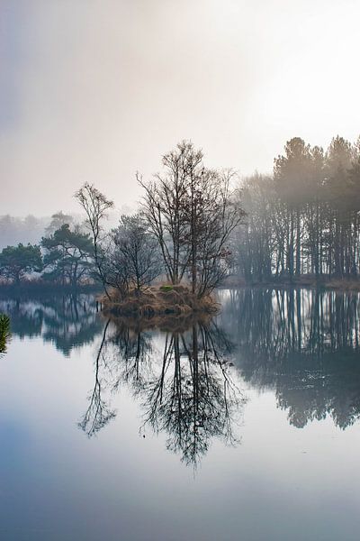Nebligere Version von Jacqueline De Rooij Fotografie