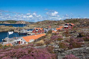 Blick auf die Insel Dyrön in Schweden von Rico Ködder