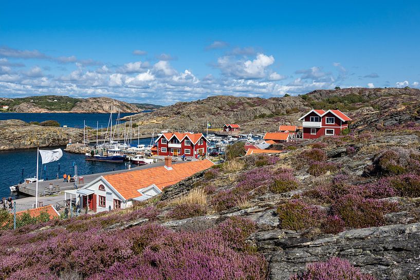 Gezicht op het eiland Dyrön in Zweden van Rico Ködder