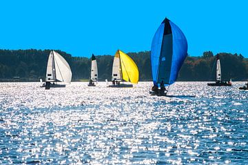 Courses à la voile en contre-jour à Almere sur Brian Morgan