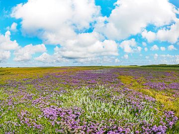 Blühender Seelavendel auf der Boschplaat Terschelling von Jan Huneman