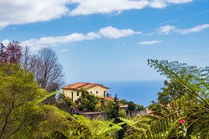 Zicht op een huis in Funchal op het eiland Madeira van Rico Ködder