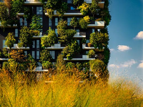 Vertical Forest Milan in the morning light